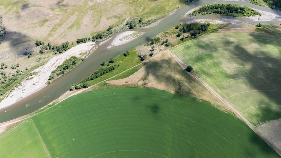 Kazakhstan and Uzbekistan Agree to Share Water Resources From Syr Darya River